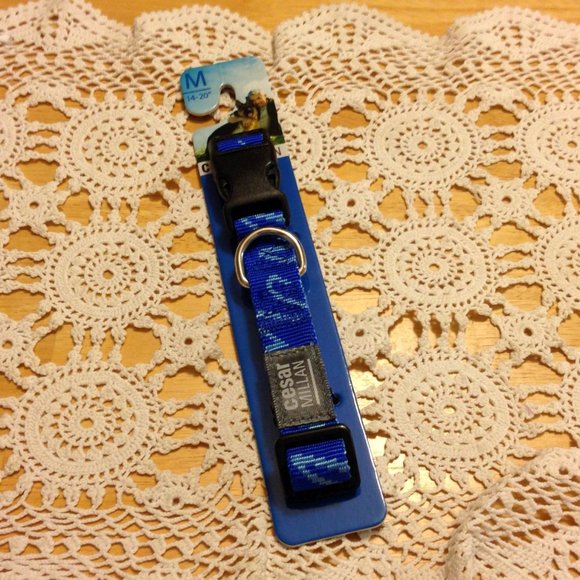 Pet Collar, Cesar Milan dog Collar, blue, 4" to 20" - Picture 1 of 5
